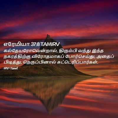 Picture 02 - எரேமியா 37:8 TAMIRV - கல்தேயரோவென்றால், - Bible Verse Picture