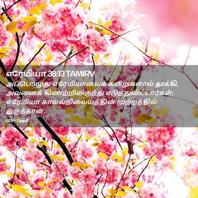Picture 02 - எரேமியா 38:13 TAMIRV - அப்பொழுது - Bible Verse Picture