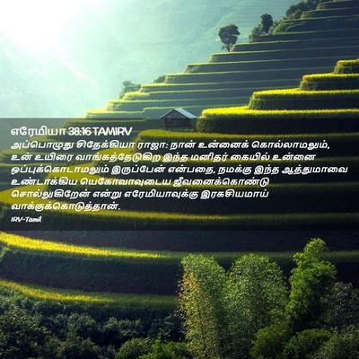 Picture 02 - எரேமியா 38:16 TAMIRV - அப்பொழுது - Bible Verse Picture