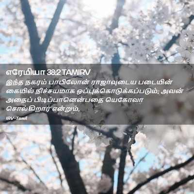 Picture 02 - எரேமியா 38:2 TAMIRV - இந்த நகரம் - Bible Verse Picture