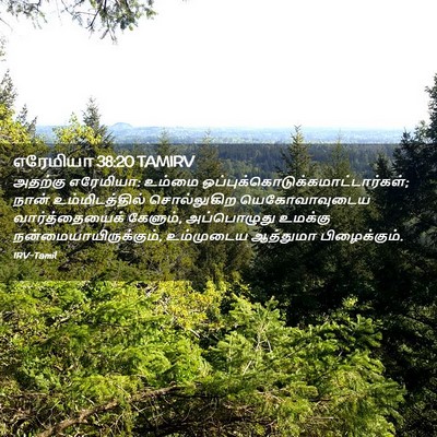 Picture 02 - எரேமியா 38:20 TAMIRV - அதற்கு எரேமியா: - Bible Verse Picture