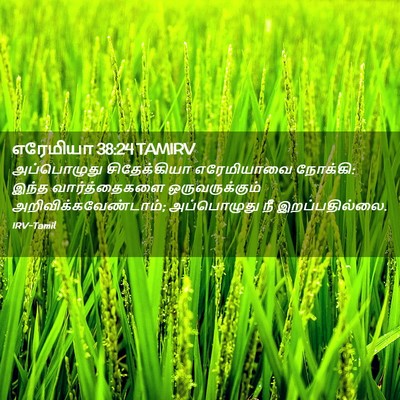 Picture 02 - எரேமியா 38:24 TAMIRV - அப்பொழுது - Bible Verse Picture