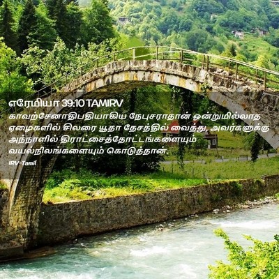 Picture 02 - எரேமியா 39:10 TAMIRV -  - Bible Verse Picture