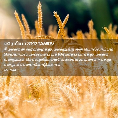 Picture 02 - எரேமியா 39:12 TAMIRV - நீ அவனை வரவழைத்து, - Bible Verse Picture