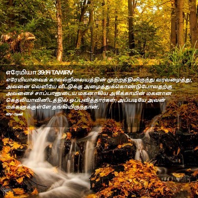 Picture 02 - எரேமியா 39:14 TAMIRV - எரேமியாவைக் - Bible Verse Picture
