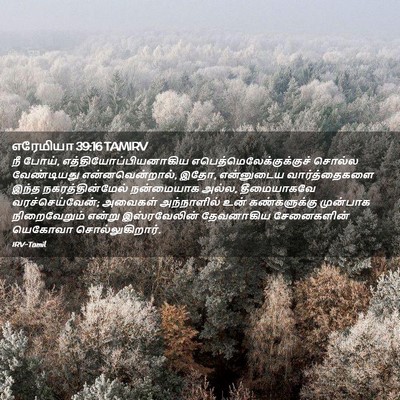 Picture 02 - எரேமியா 39:16 TAMIRV - நீ போய், - Bible Verse Picture