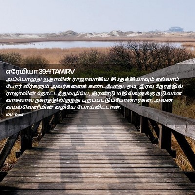 Picture 02 - எரேமியா 39:4 TAMIRV - அப்பொழுது - Bible Verse Picture