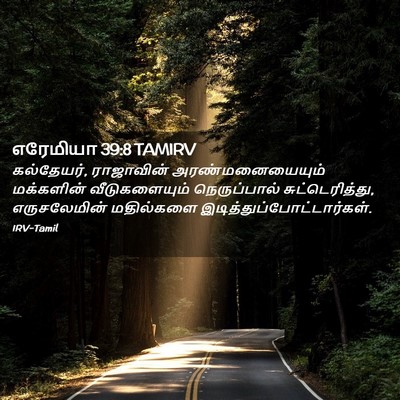 Picture 02 - எரேமியா 39:8 TAMIRV - கல்தேயர், - Bible Verse Picture