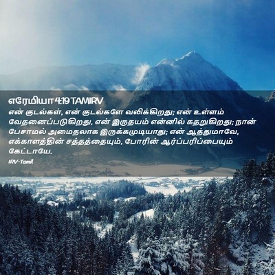 Picture 02 - எரேமியா 4:19 TAMIRV - என் குடல்கள், என் - Bible Verse Picture