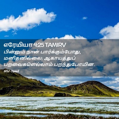 Picture 02 - எரேமியா 4:25 TAMIRV - பின்னும் நான் - Bible Verse Picture