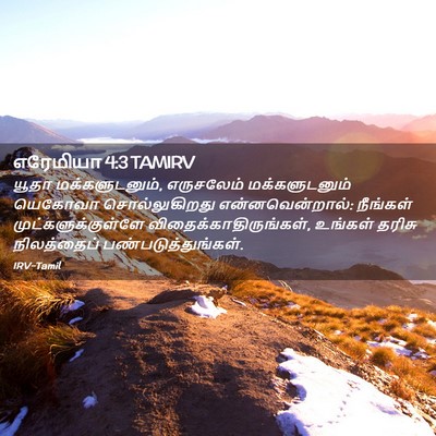Picture 02 - எரேமியா 4:3 TAMIRV - யூதா மக்களுடனும், - Bible Verse Picture