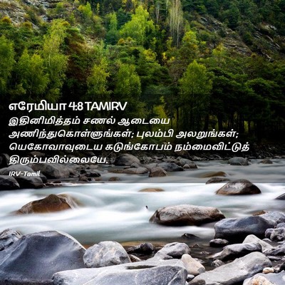 Picture 02 - எரேமியா 4:8 TAMIRV - இதினிமித்தம் சணல் - Bible Verse Picture