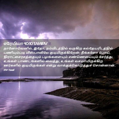 Picture 02 - எரேமியா 40:10 TAMIRV - நானோவெனில், இதோ, - Bible Verse Picture