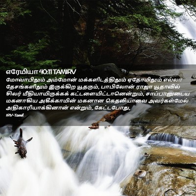 Picture 02 - எரேமியா 40:11 TAMIRV - மோவாபிலும் - Bible Verse Picture