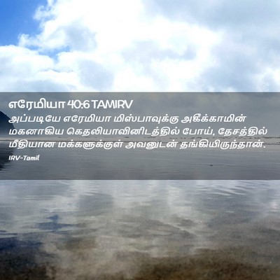Picture 02 - எரேமியா 40:6 TAMIRV - அப்படியே எரேமியா - Bible Verse Picture