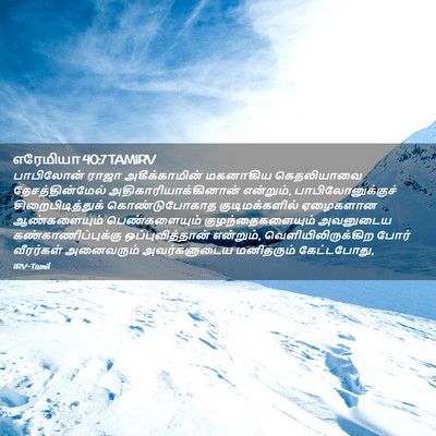 Picture 02 - எரேமியா 40:7 TAMIRV - பாபிலோன் ராஜா - Bible Verse Picture