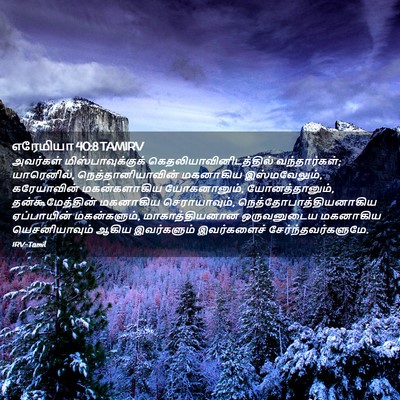 Picture 02 - எரேமியா 40:8 TAMIRV - அவர்கள் - Bible Verse Picture