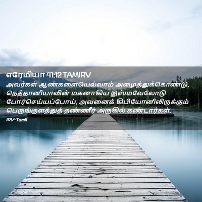 Picture 02 - எரேமியா 41:12 TAMIRV - அவர்கள் - Bible Verse Picture