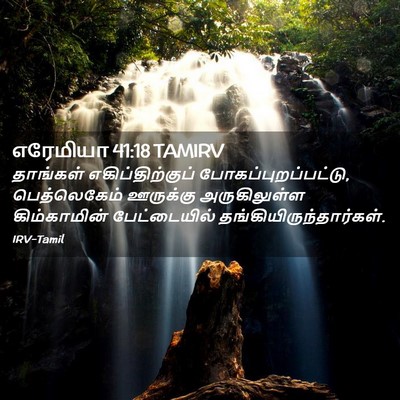 Picture 02 - எரேமியா 41:18 TAMIRV - தாங்கள் - Bible Verse Picture