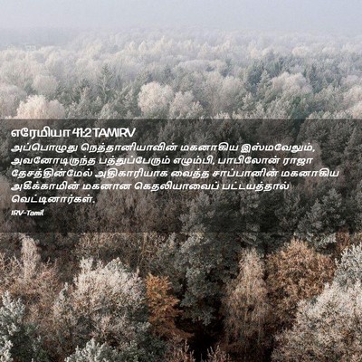 Picture 02 - எரேமியா 41:2 TAMIRV - அப்பொழுது - Bible Verse Picture