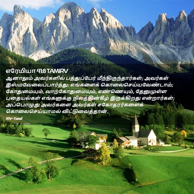 Picture 02 - எரேமியா 41:8 TAMIRV - ஆனாலும் அவர்களில் - Bible Verse Picture
