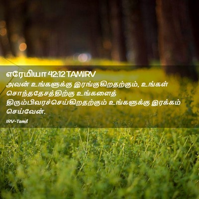 Picture 02 - எரேமியா 42:12 TAMIRV - அவன் உங்களுக்கு - Bible Verse Picture
