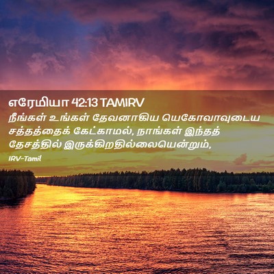 Picture 02 - எரேமியா 42:13 TAMIRV - நீங்கள் உங்கள் - Bible Verse Picture