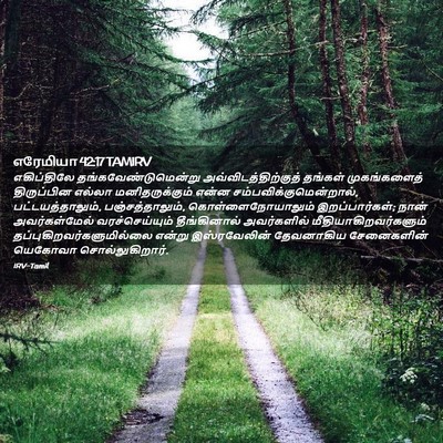 Picture 02 - எரேமியா 42:17 TAMIRV - எகிப்திலே - Bible Verse Picture