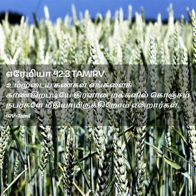 Picture 02 - எரேமியா 42:3 TAMIRV - உம்முடைய கண்கள் - Bible Verse Picture