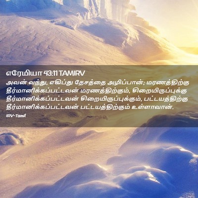 Picture 02 - எரேமியா 43:11 TAMIRV - அவன் வந்து, - Bible Verse Picture