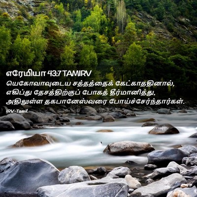 Picture 02 - எரேமியா 43:7 TAMIRV - யெகோவாவுடைய - Bible Verse Picture