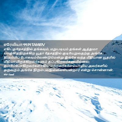 Picture 02 - எரேமியா 44:14 TAMIRV - எகிப்துதேசத்தில் - Bible Verse Picture