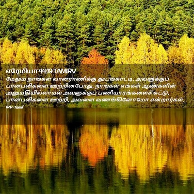 Picture 02 - எரேமியா 44:19 TAMIRV - மேலும் நாங்கள் - Bible Verse Picture