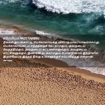 Picture 02 - எரேமியா 44:23 TAMIRV - நீங்கள் - Bible Verse Picture