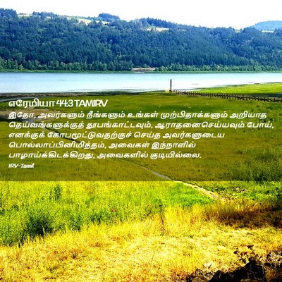 Picture 02 - எரேமியா 44:3 TAMIRV - இதோ, அவர்களும் - Bible Verse Picture