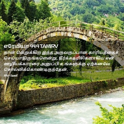 Picture 02 - எரேமியா 44:4 TAMIRV - நான் வெறுக்கிற - Bible Verse Picture