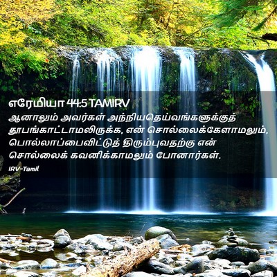 Picture 02 - எரேமியா 44:5 TAMIRV - ஆனாலும் அவர்கள் - Bible Verse Picture