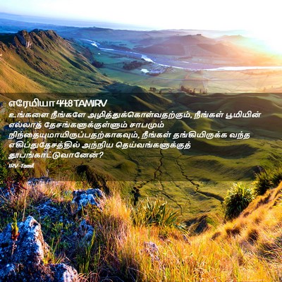 Picture 02 - எரேமியா 44:8 TAMIRV - உங்களை நீங்களே - Bible Verse Picture