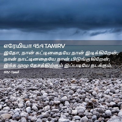 Picture 02 - எரேமியா 45:4 TAMIRV - இதோ, நான் - Bible Verse Picture