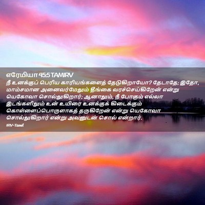 Picture 02 - எரேமியா 45:5 TAMIRV - நீ உனக்குப் பெரிய - Bible Verse Picture