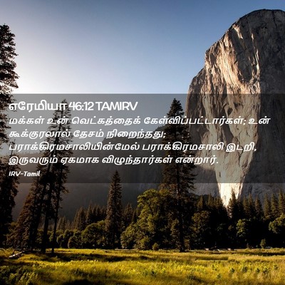 Picture 02 - எரேமியா 46:12 TAMIRV - மக்கள் உன் - Bible Verse Picture