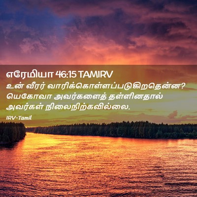 Picture 02 - எரேமியா 46:15 TAMIRV - உன் வீரர் - Bible Verse Picture