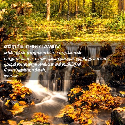 Picture 02 - எரேமியா 46:17 TAMIRV - எகிப்தின் - Bible Verse Picture