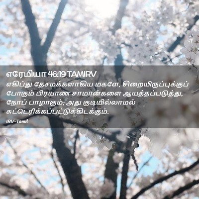 Picture 02 - எரேமியா 46:19 TAMIRV - எகிப்து - Bible Verse Picture