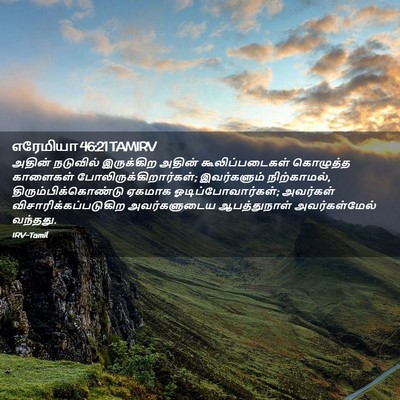 Picture 02 - எரேமியா 46:21 TAMIRV - அதின் நடுவில் - Bible Verse Picture