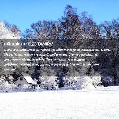 Picture 02 - எரேமியா 46:23 TAMIRV - எண்ணமுடியாத - Bible Verse Picture