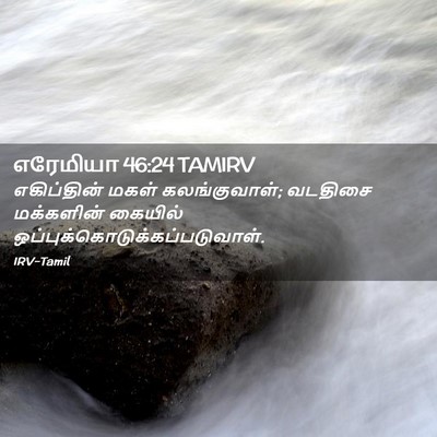 Picture 02 - எரேமியா 46:24 TAMIRV - எகிப்தின் மகள் - Bible Verse Picture