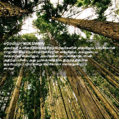 Picture 02 - எரேமியா 46:26 TAMIRV - அவர்கள் உயிரை - Bible Verse Picture
