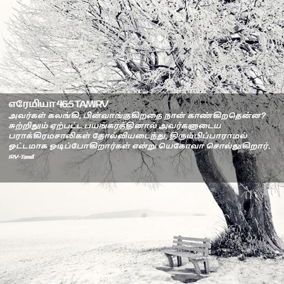 Picture 02 - எரேமியா 46:5 TAMIRV - அவர்கள் கலங்கி, - Bible Verse Picture