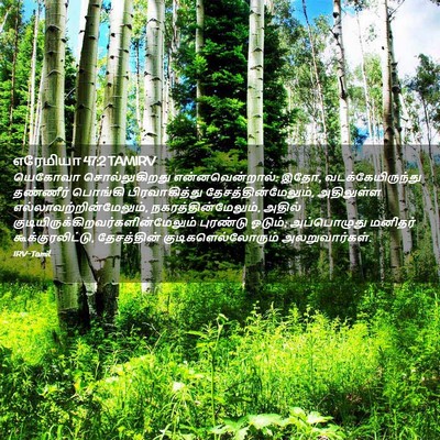 Picture 02 - எரேமியா 47:2 TAMIRV - யெகோவா - Bible Verse Picture